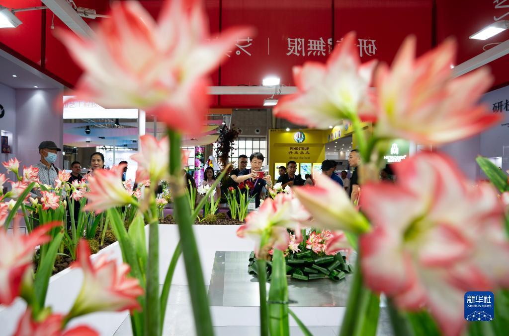 金沙手机网投老品牌值得信赖